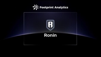 What are the Possibilities of Ronin Beyond Axie Infinity?