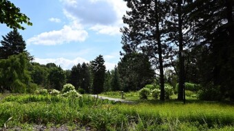 The weather has definitely improved, Tuesday is much better, more pleasant and with lots of sunshine - My Actifit Report Card: July 29, 2025