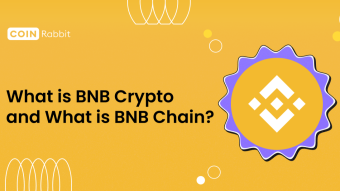 What is BNB Crypto and What is BNB Chain? Everything You Need to Know