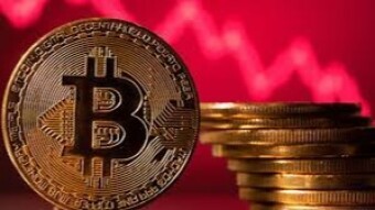 Bitcoin Whales Transactions Peak At Highest Level In A Month