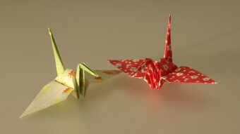 Connecting Creativities To Each Other