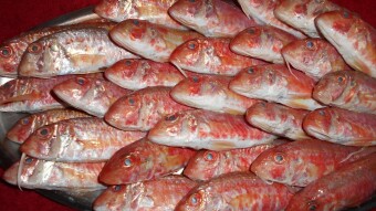 Foodbook #576 Red mullet  at the oven