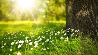 Daily Affirmations - 13 Mar, 2020