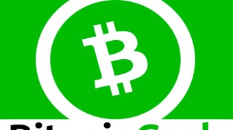 Really. Why is Bitcoin Cash Still a Thing?