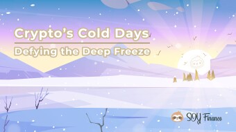 Crypto Extremes: Lessons from DeFi’s Winter