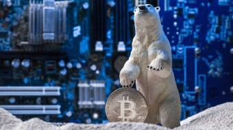 Has the Crypto Winter Began to Thaw?