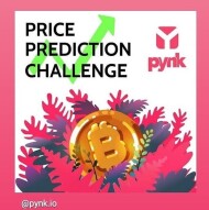 PYNK Daily Contest