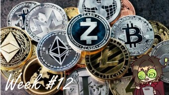 Hodling 11 shitcoins - week 12 - Elon coins pushes higher