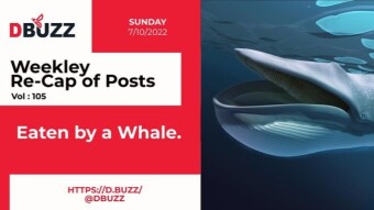 Recap of this Week's Posts by D.Buzz Vol.105