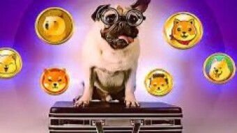 The 5 Most Ridiculous Cryptocurrencies in Existence