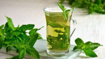 Mentha also known as mint - herbal pharmacy
