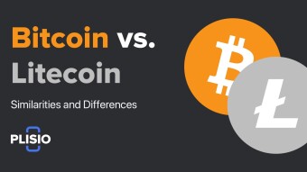 Bitcoin vs Litecoin: Similarities and differences Explained