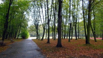 First day at home, and the weather is like November - My Actifit Report Card: October 3, 2024