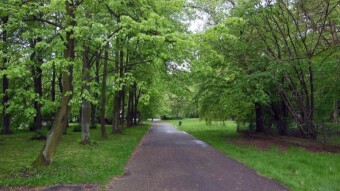 A dynamic, changeable April day. The walk was a success - My Actifit Report Card: April 19 2024