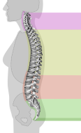 SPINE HEALTH; MINIMALLY INVASIVE SPINAL PROCEDURE