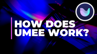 How Does Umee Work?