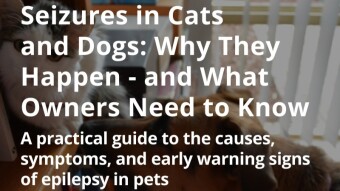 Seizures in Cats and Dogs: Why They Happen - and What Owners Need to Know
