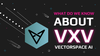 What Do We Know About Vectorspace AI ($VXV)?