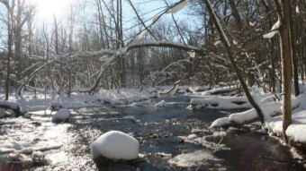 Walking In A Winter Wonderland