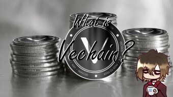Vechain in focus, revolutionizing supply chains