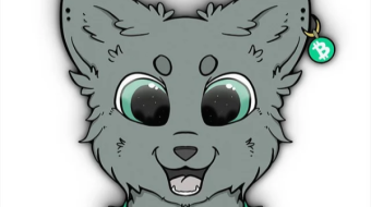 SmartBCH introduction - $CATS distribution and some gifts