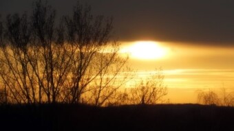 Just a month ago, the colors in the sky were yellow-orange, warm, and today?