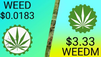 WEED Cash Five for Friday update