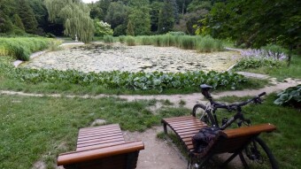 The route of the former narrow-gauge railway - cycling around Park Śląski - My Actifit Report Card: July 10 2023