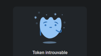 SPOT token disappeared after flash PC or mobile phone