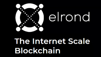 Elrond (ERD) and  the Adaptive State Sharding mechanism
