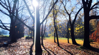 Lady Autumn bows low
