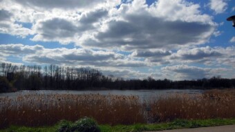 Landscapes almost like Masurian lakes - My Actifit Report Card: April 3 2023