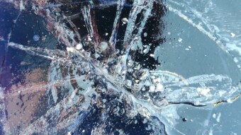 An ice  portrait