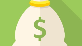 The Mild East of Crypto Frenzy: For a Few Critics More