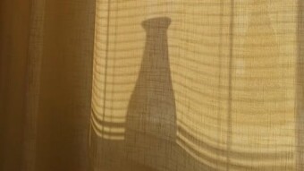 The steam curtain