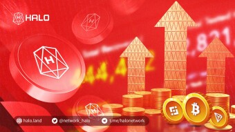Picking The Gems: The Route To Proper Due Diligence