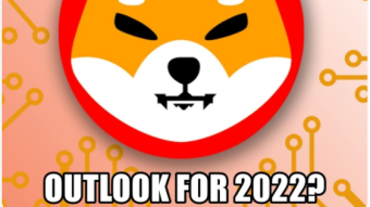 Shiba Inu (SHIB) Outlook for 2022