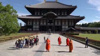 The land of 1,200 deer and 3,000 lanterns - Japan, the city of Nara - my journey through Asia