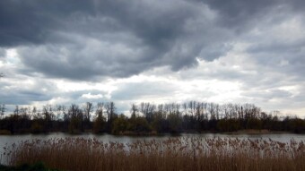 In the weather dynamic and beautiful at the same time, what about the condition? - My Actifit Report Card: April 15 2023