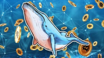 Follow the Whales - A Brief on Recent Market Manipulations