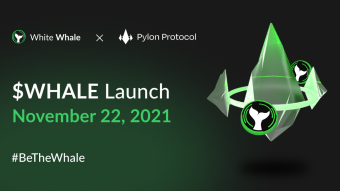 White Whale: the new project on Terra that aims to make the system safer [ENG - ITA]