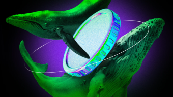 Crypto Whales Bought These Altcoins in the Fourth Week of April 2025