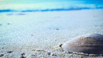 Some new photo uploads! Ocean City, MD!