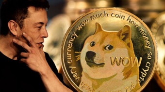 Doge news of today