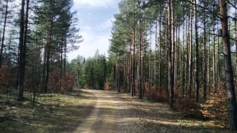 Today, the first bonfire and sausage from Kija - My Actifit Report Card: March 9 2025