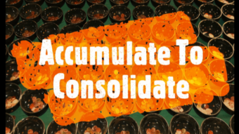 Accumulate To Consolidate