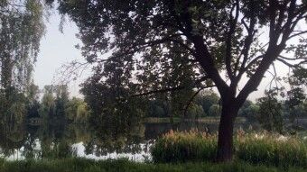 Beautiful, warm Sunday - My Actifit Report Card: June 15 2025