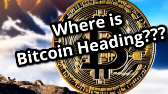 Is Black Swan Event Coming For Bitcoin?