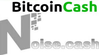 Noise.Cash platform review - How to be a good "noizer"?