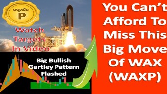 You Can’t Afford To Miss This Big Move Of WAX (WAXP)